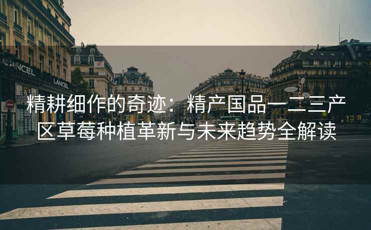精耕细作的奇迹：精产国品一二三产区草莓种植革新与未来趋势全解读