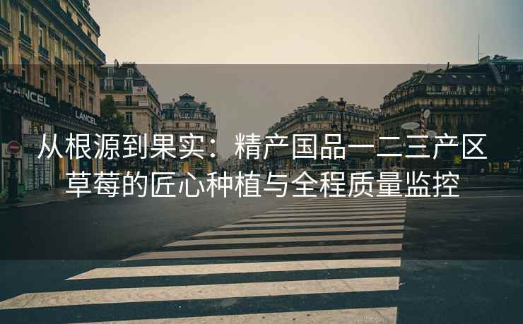 从根源到果实：精产国品一二三产区草莓的匠心种植与全程质量监控