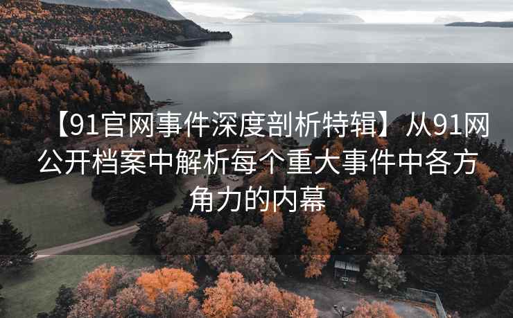【91官网事件深度剖析特辑】从91网公开档案中解析每个重大事件中各方角力的内幕