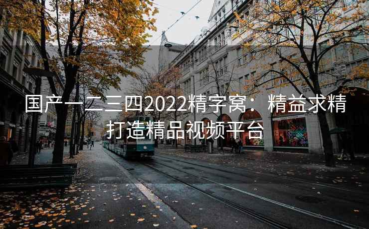 国产一二三四2022精字窝：精益求精打造精品视频平台